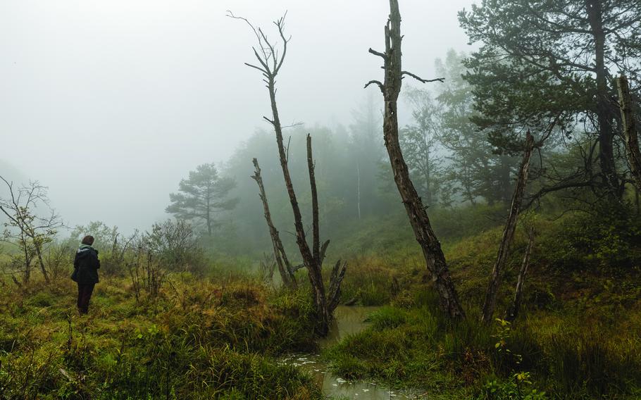 Person standing alone in solitude in hazy forest area with obscure water stream.
