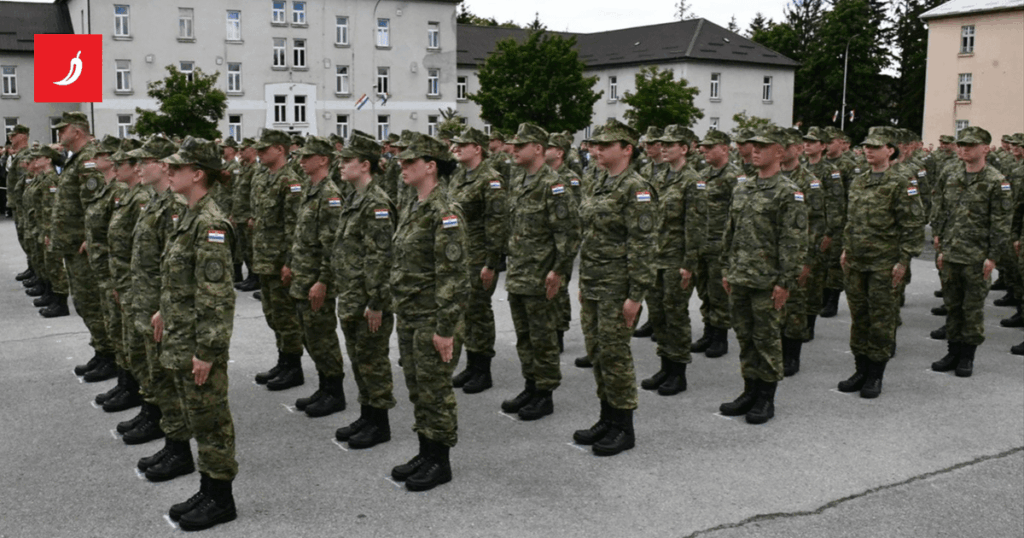 Parliament voted: Mandatory military service is introduced