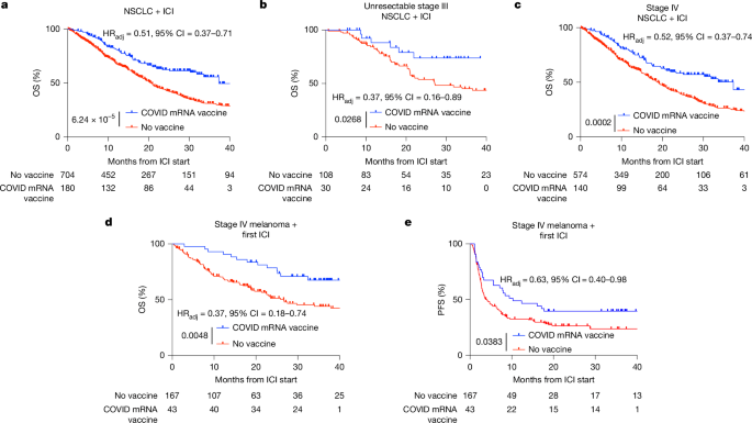 Getting a Covid mRNA vaccine before immunotherapy boosted the three-year survival rate by 40-60% for lung cancer patients compared to no vaccine.