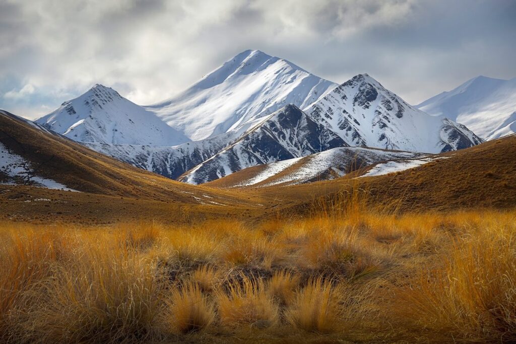 Ancient bone discovered in New Zealand – and scientists are amazed at what it may belong to