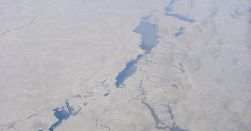 Scientists Discover Life in Arctic Ice at -15 Degrees Celsius Scientists Discover Life in Arctic Ice at -15 Degrees Celsius