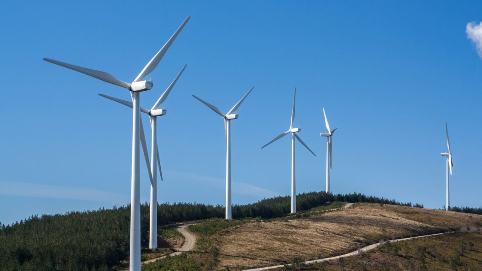 Germany sees robust demand in newest onshore wind auction
