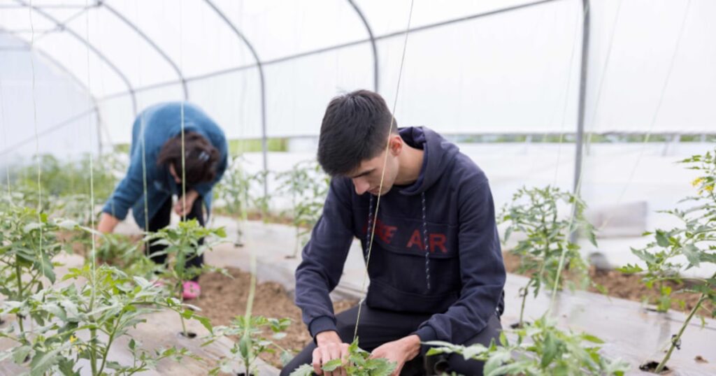 Summit highlights greenhouse initiative success in southeast Europe – Church News