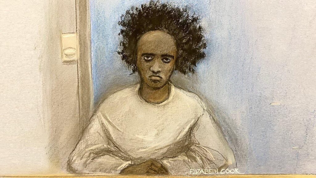 Headteacher removed word 'sinister' from Southport killer Axel Rudakubana's education plan after mental health workers accused her of racially profiling 'a black boy with a knife'