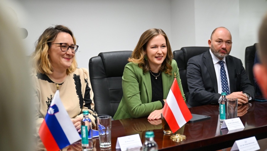 bne IntelliNews - Austria and Slovenia advocate qualified majority voting to unblock EU enlargement