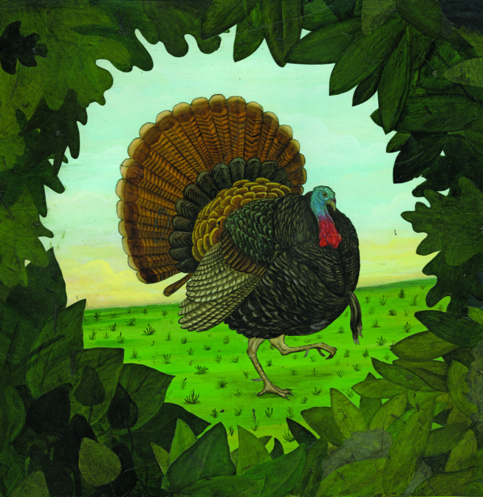 The Quest to Outsmart a Gobbler – Garden & Gun illustration of a turkey