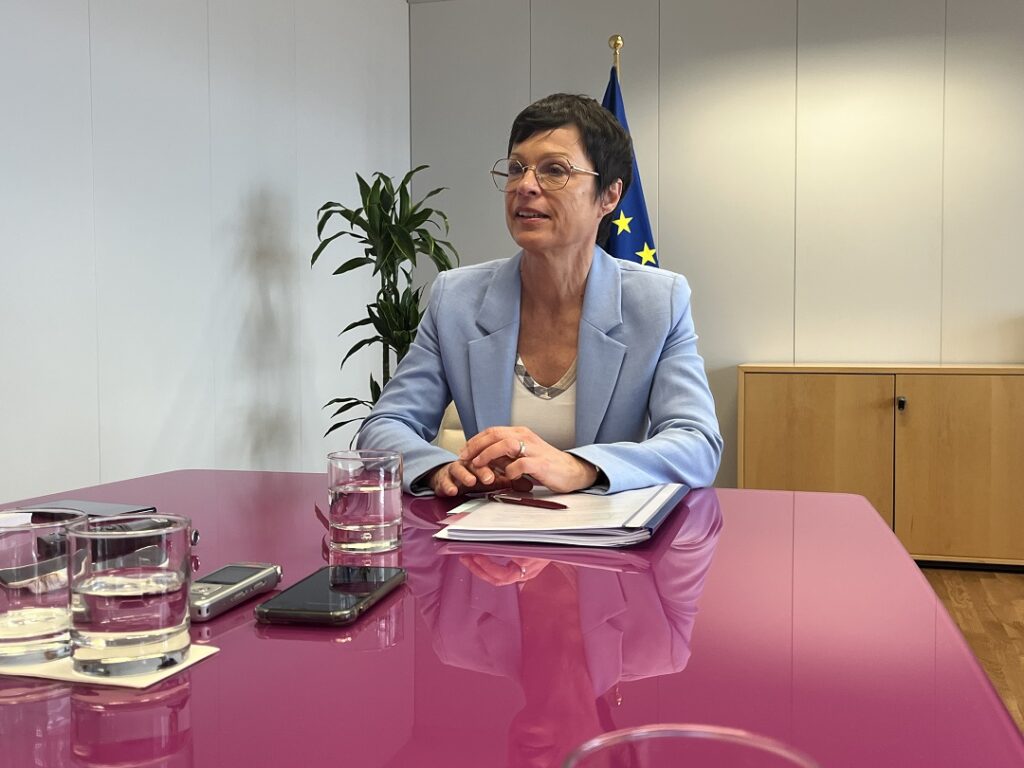 Bosnia approves the reform program for the EU growth plan