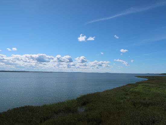 IMG_3809.jpg