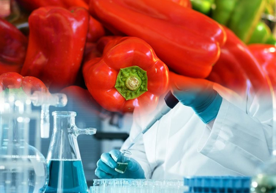 Pesticide Residues Above Limit: Slovenia Blocks Shipment of Peppers from Albania