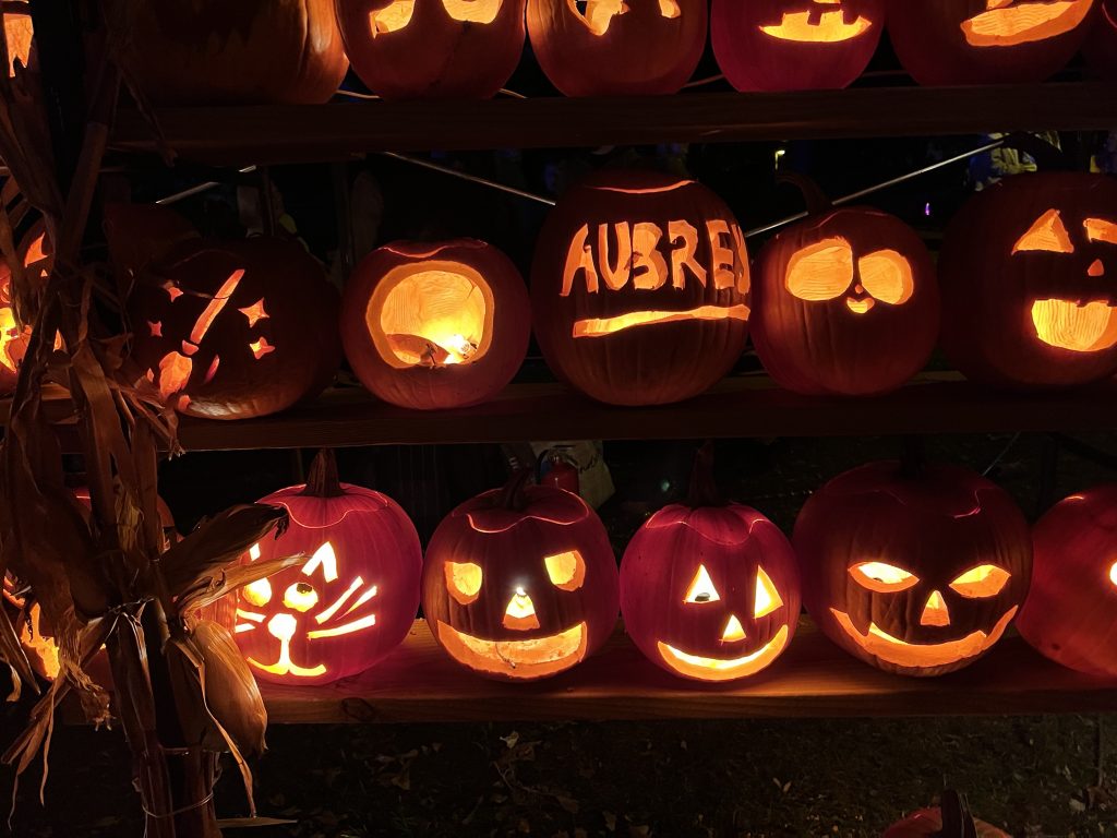 Humboldt Park pumpkin pavilion. Photo by Jeramey Jannene.