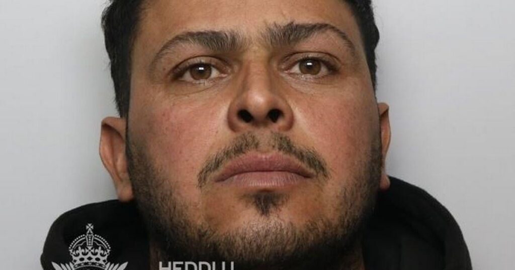 Asylum seeker followed young woman and sexually assaulted her under a Cardiff bridge