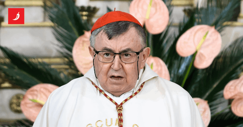 Archbishop Puljić on the renaming of "Ustaša streets": Mozemo is a pro-Yugoslav party