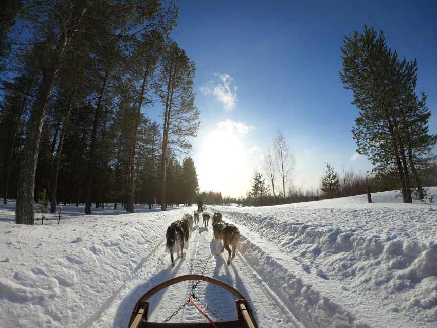 Tourism Boom in Lapland, Finland Threatens Sámi Heritage and Pristine Landscapes, Reveals New Report Tourism Boom in Lapland, Finland Threatens Sámi Heritage and Pristine Landscapes, Reveals New Report