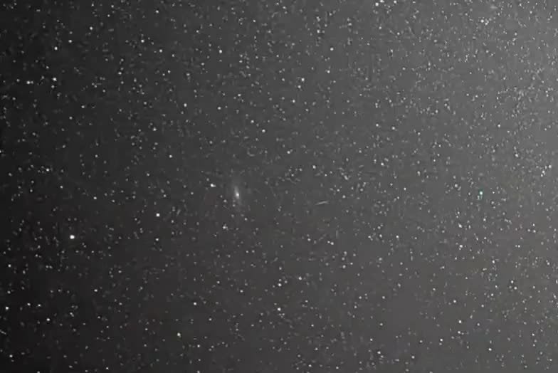 Help identifying object from video captured.