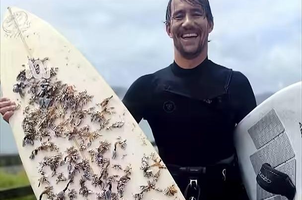 Watch: Lost surfboard washes up nearly 1,500 miles away in New Zealand