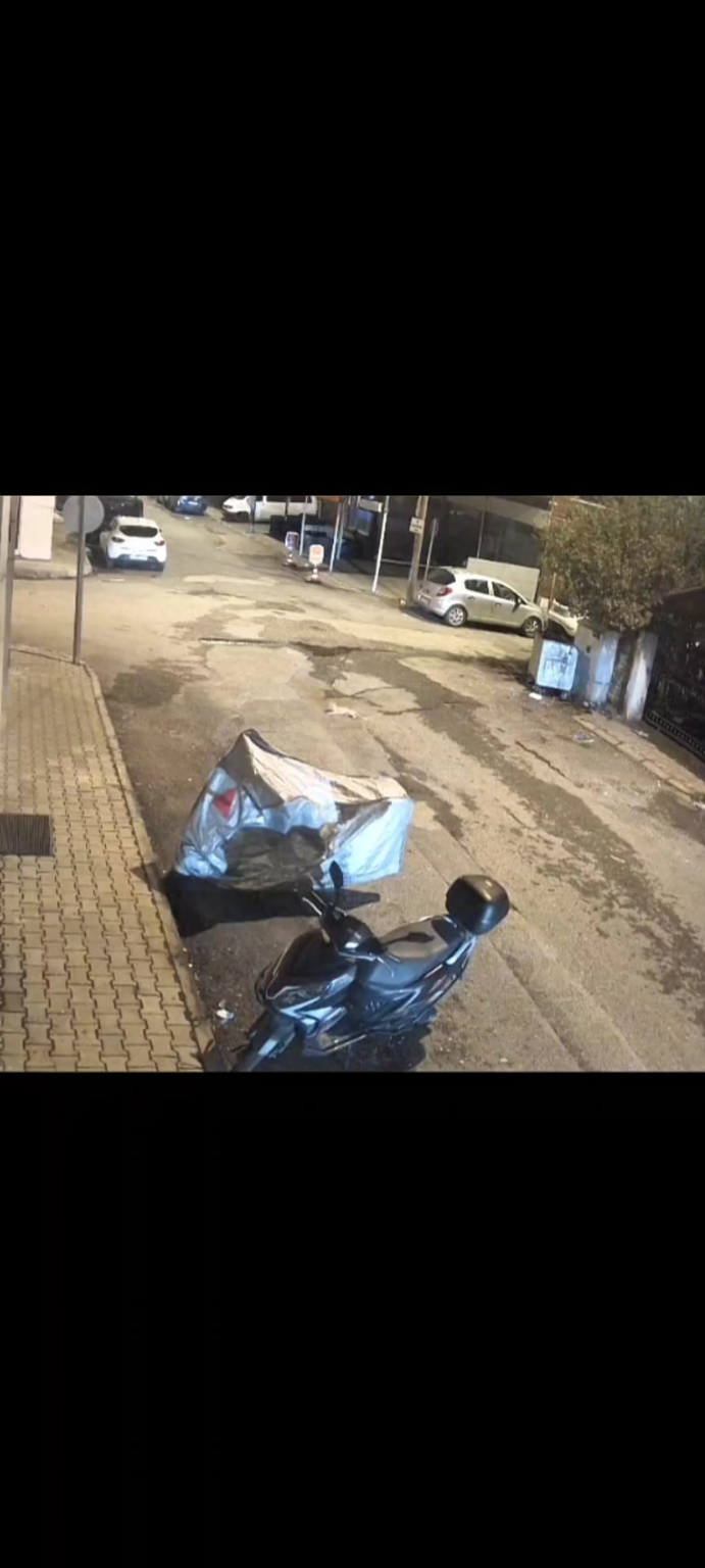 A minibus in Hatay crushed the street cat with the rear wheel. But before crushing the cat, the wheel slowly equalized the cat. The cat died after the incident.