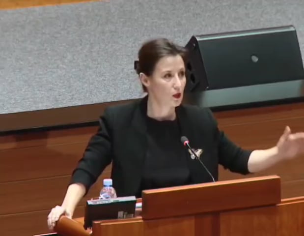 At the session on the state of the nation, Dalija Orešković talks about the collapsed democratic structure of the state