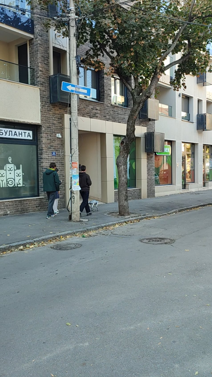 The Russians walk the robot on Dorcol