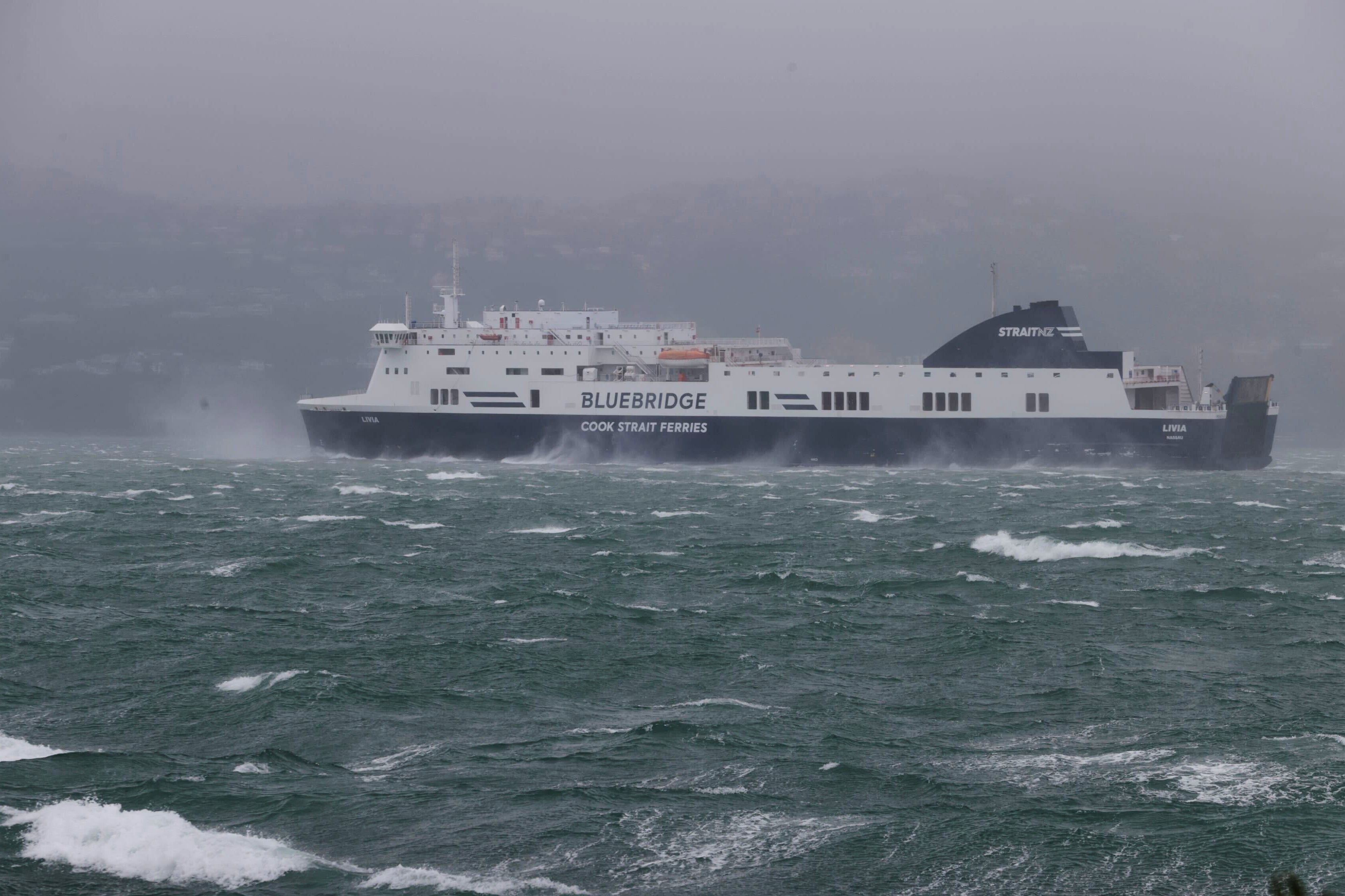 New Zealand Storm Death