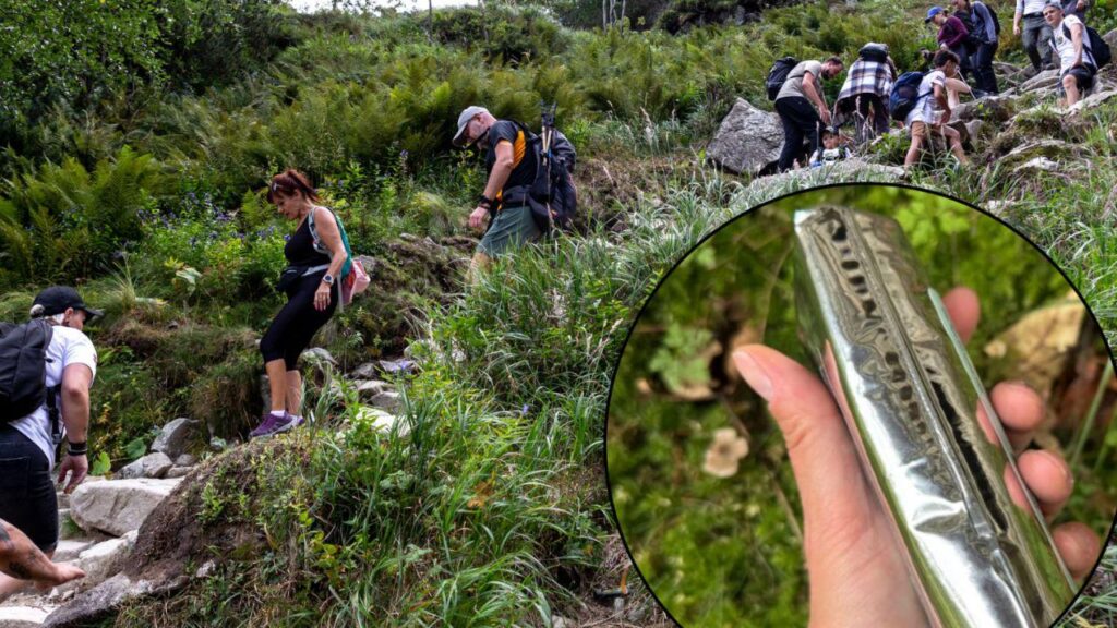 Polish national park introduces free ‘toilet bags’ for tourists