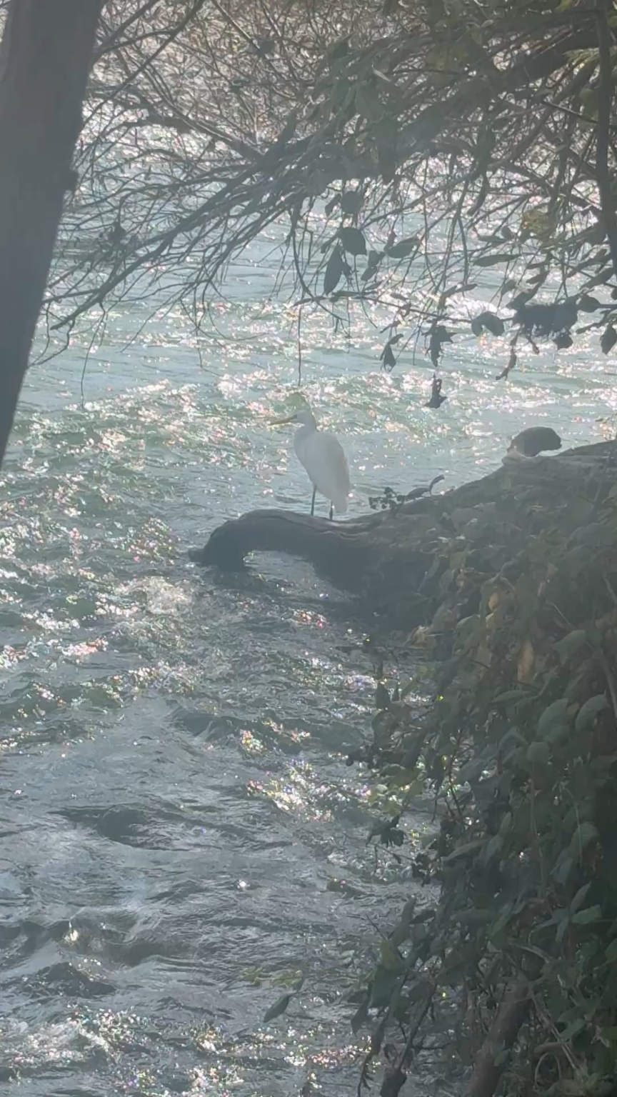 Nice day by the river