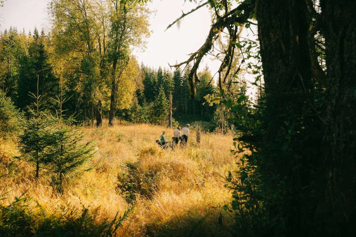 Gravel riding in Oslo, Norway