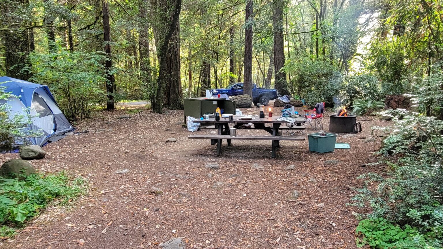 Some questions about camping