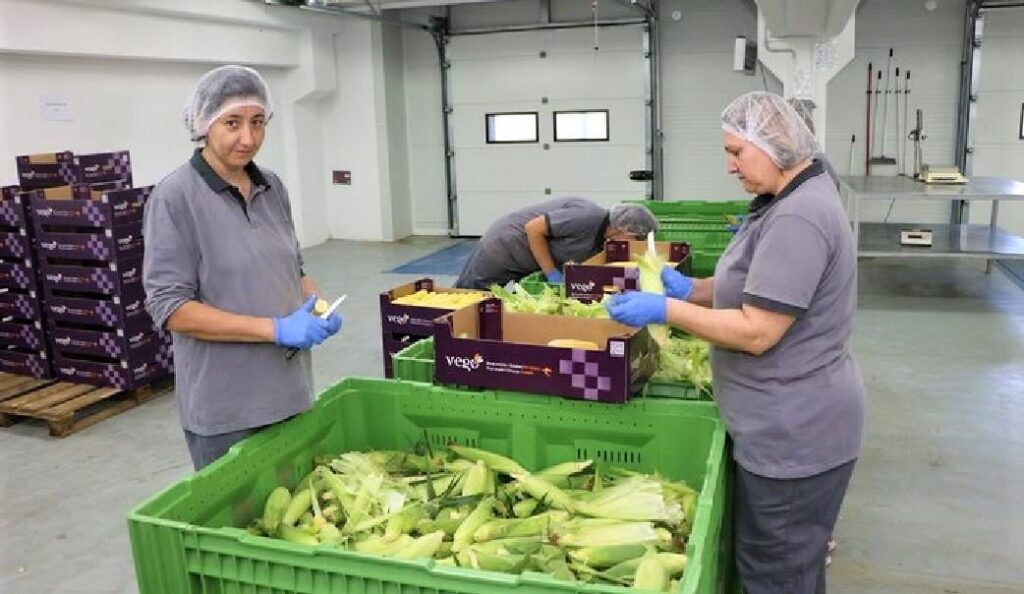 A well-known company is looking for as many as 85 workers in Podravina. Published the salary