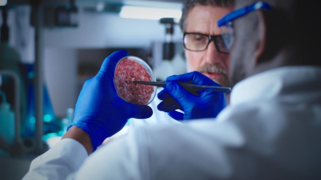 Widespread controversy in the US after a study by the universities of Texas and Florida seems to indicate that the anti-Covid vaccine (messenger RNA) doubled the survival time of lung and skin cancer patients compared to those who did not get vaccinated.