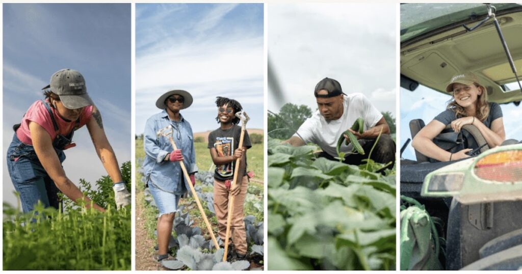 Apply Today For Good Farmer Award US, $10,000 Prize; Farmer Training Program Available
