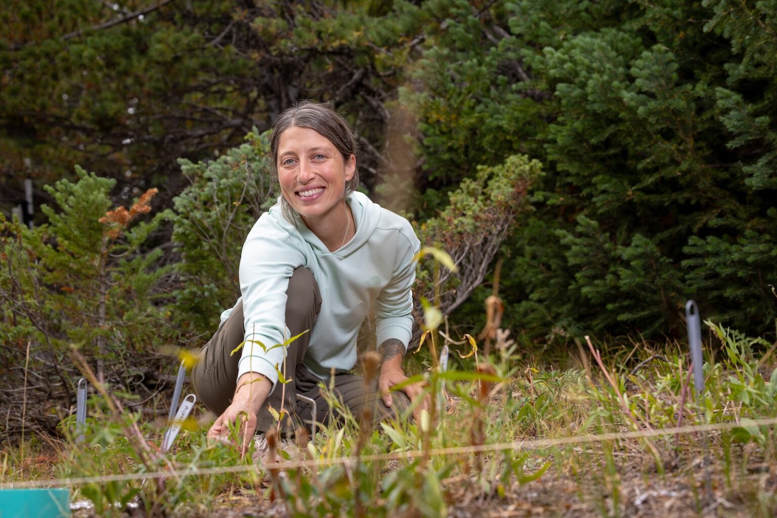 This Master’s Candidate Shoveled Snow in the Subalpine for Two Years—For Science 