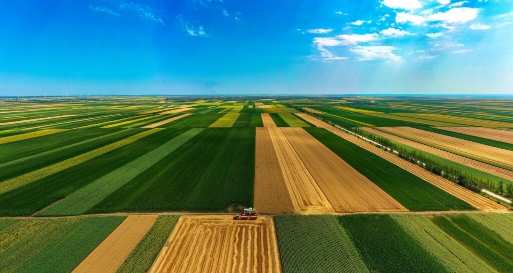 Serbia field aerial view