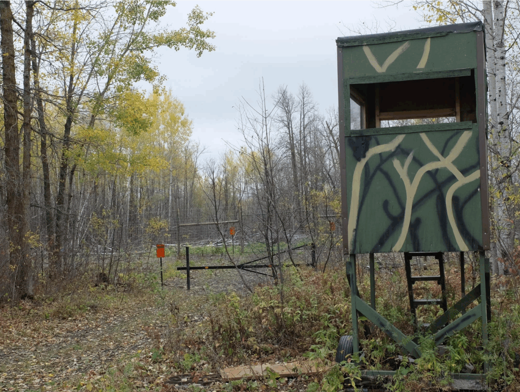 U of M researchers studying how CWD lingers and travels in environment - Austin Daily Herald