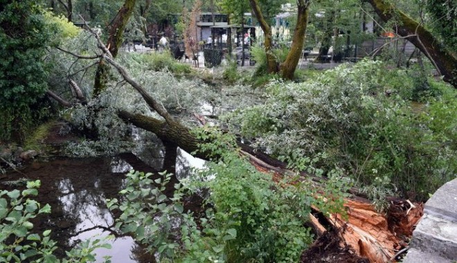 Orange Weather Alert Issued in Parts of Bosnia and Herzegovina Due to Strong Winds
