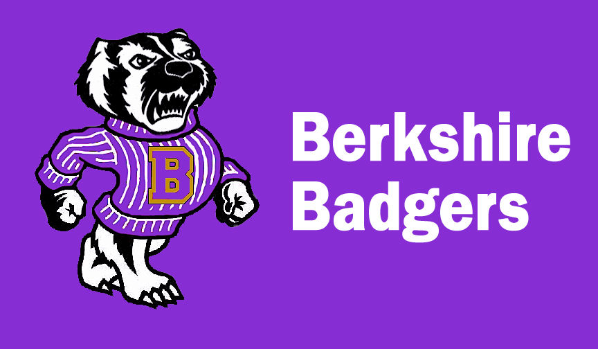 Badgers take admirable swing, but bow out in district title tilt – News-Herald Badgers take admirable swing, but bow out in district title tilt – News-Herald