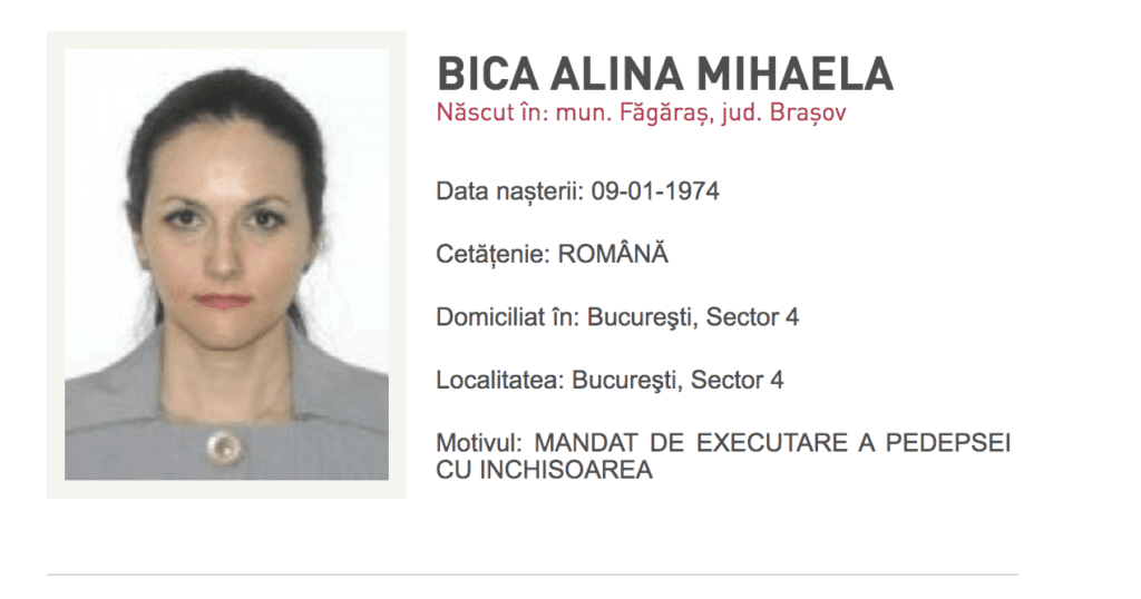 CAB withdraws the European arrest warrant on behalf of Alina Bica, although she did not make any prison day - Financial Intelligence