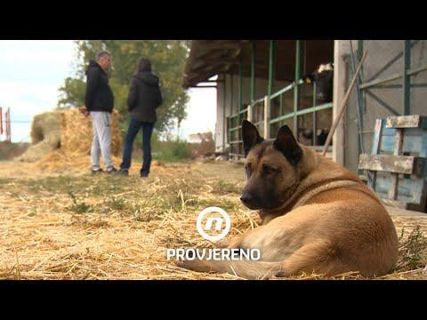 The farmer defeated the state in court: "I believed that the truth must come out" | Checked