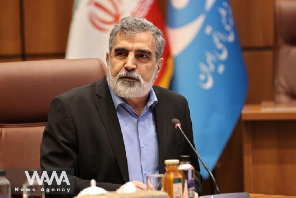 WANA - Behrouz Kamalvandi, deputy head and spokesperson for the AEOI