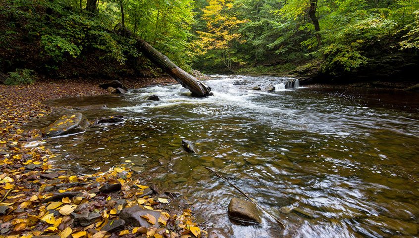 PA Looking for Applicants for 2026 Governor’s Award for Environmental Excellence