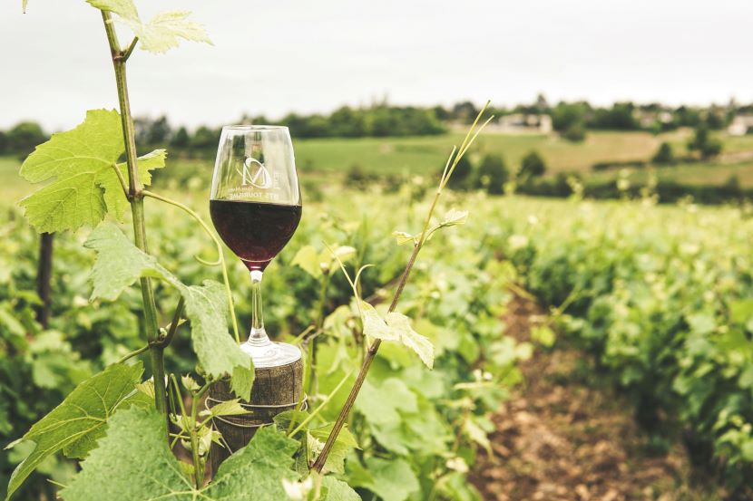 Shaping the future of algarve wine tourism: industry leaders and experts converge at the two-day lagoa forum, november 13th and 14th.