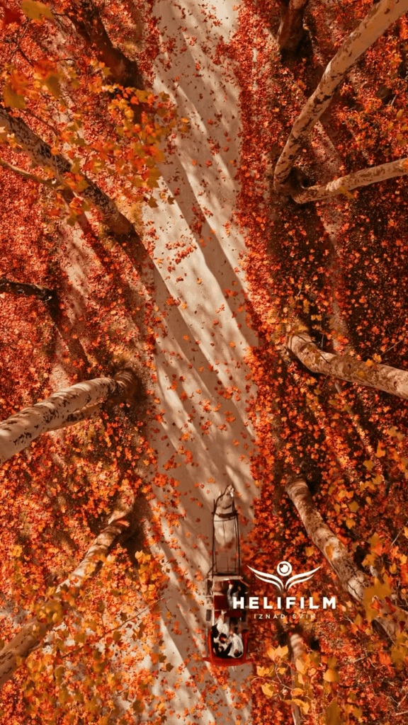 Autumn in Great alley and Vrelo Bosne