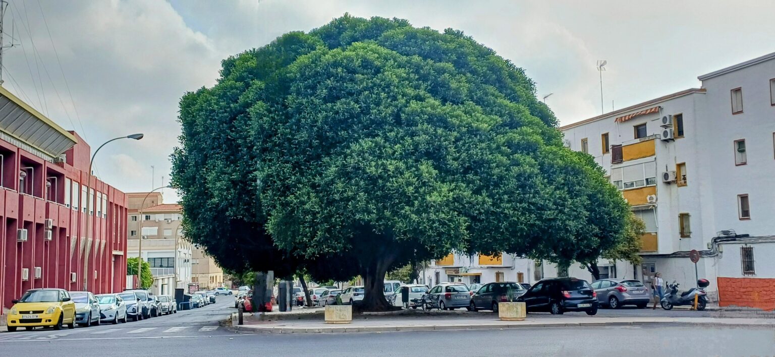 Huelva - summer 2025