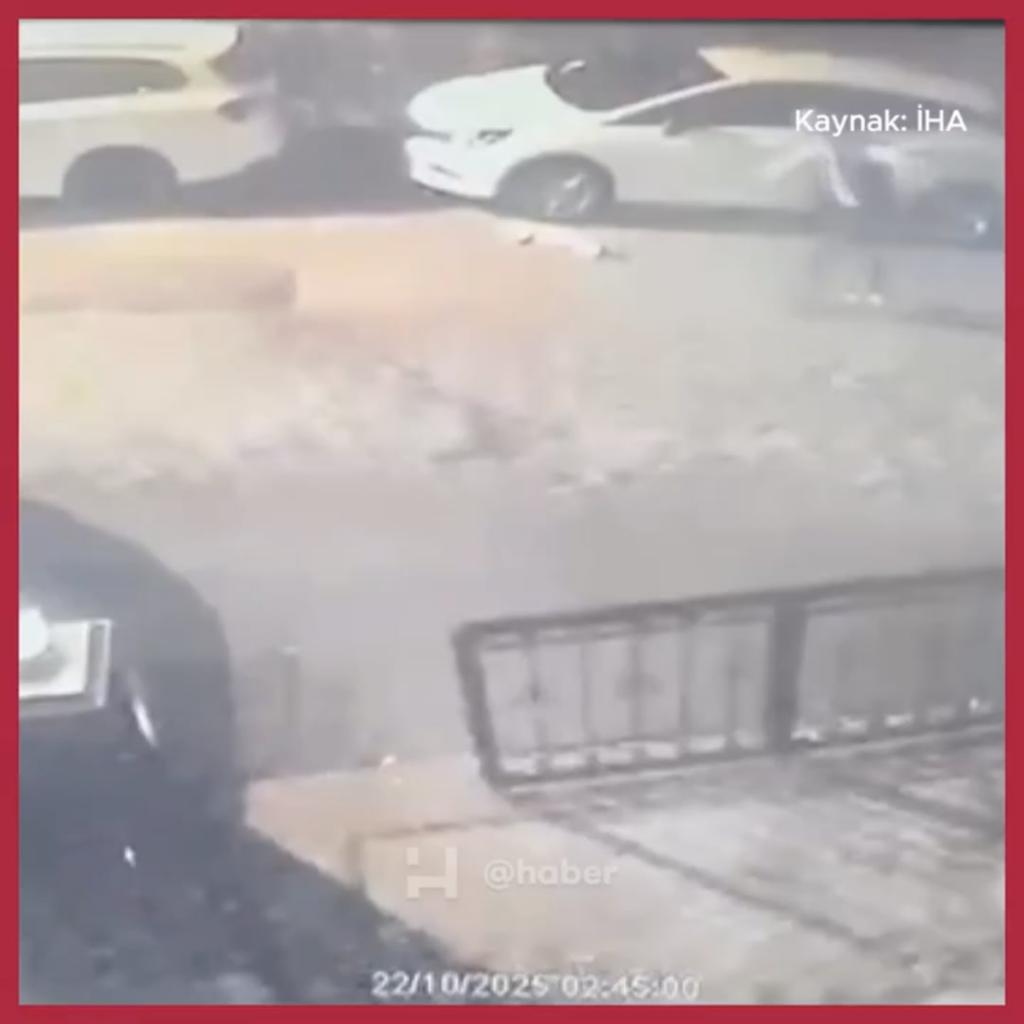 SENSITIVE CONTENT | In Maltepe, Istanbul, a person crushed and killed a driver with whom he had an argument in traffic.