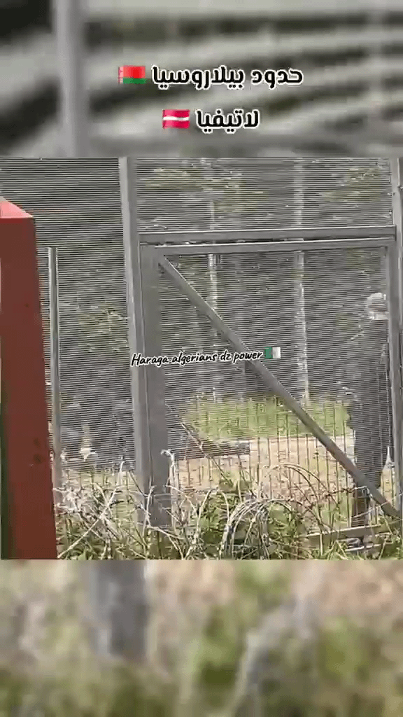 Illegal migrants being returned to Belarus from Latvia