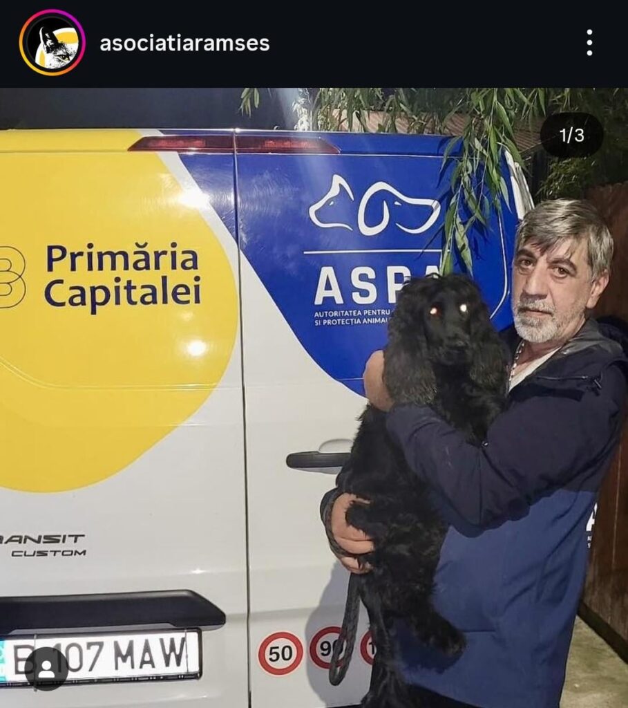 Update on the situation of the dog abused by the owner of Piccolo Dolomiti. The puppy was taken over by ASPA Update on the situation of the dog abused by the owner of Piccolo Dolomiti. The puppy was taken over by ASPA
