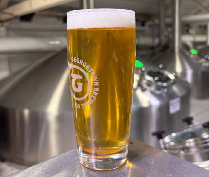 A glass of beer in a brewery, in front of stainless steel equipment