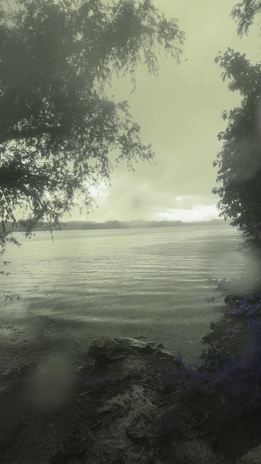 Moments in Pure Nature.