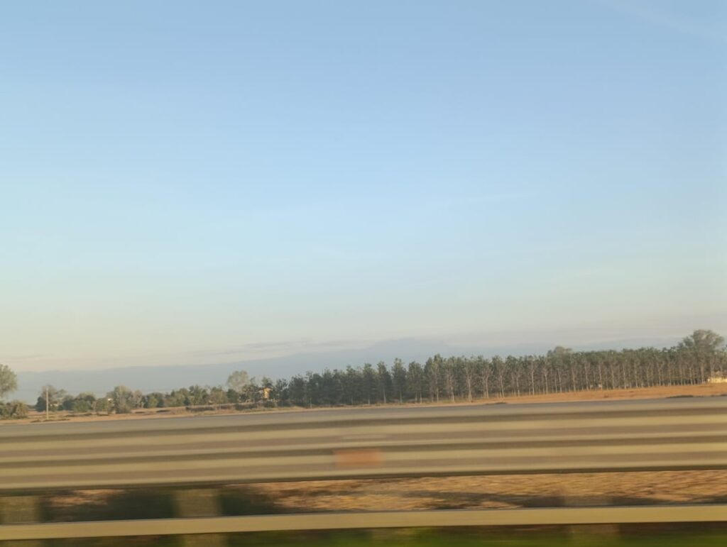 Question about trees