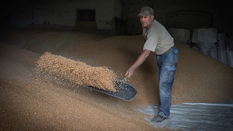 EU inks agriculture deal with Ukraine even as political divisions remain over vast exports EU inks agriculture deal with Ukraine even as political divisions remain over vast exports