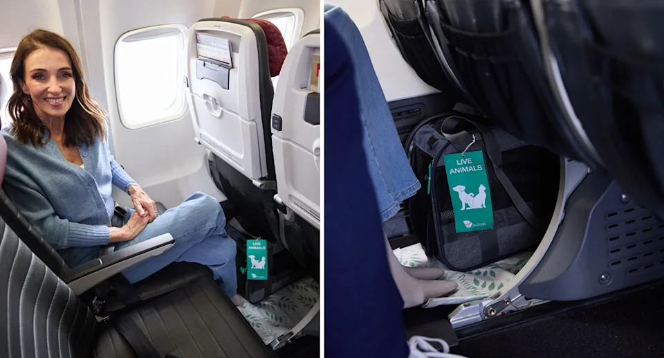 A passenger smiles in an plane seat with a dog and carrier under the seat in front of her (left) and close up of the carrier under the plane (right). 
